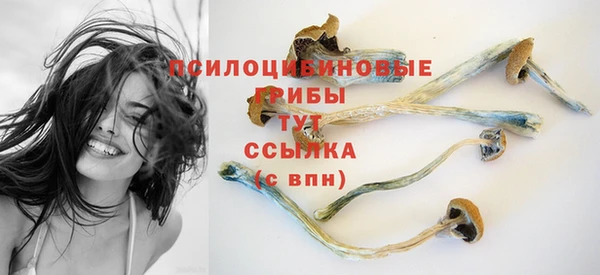 мет Снежногорск
